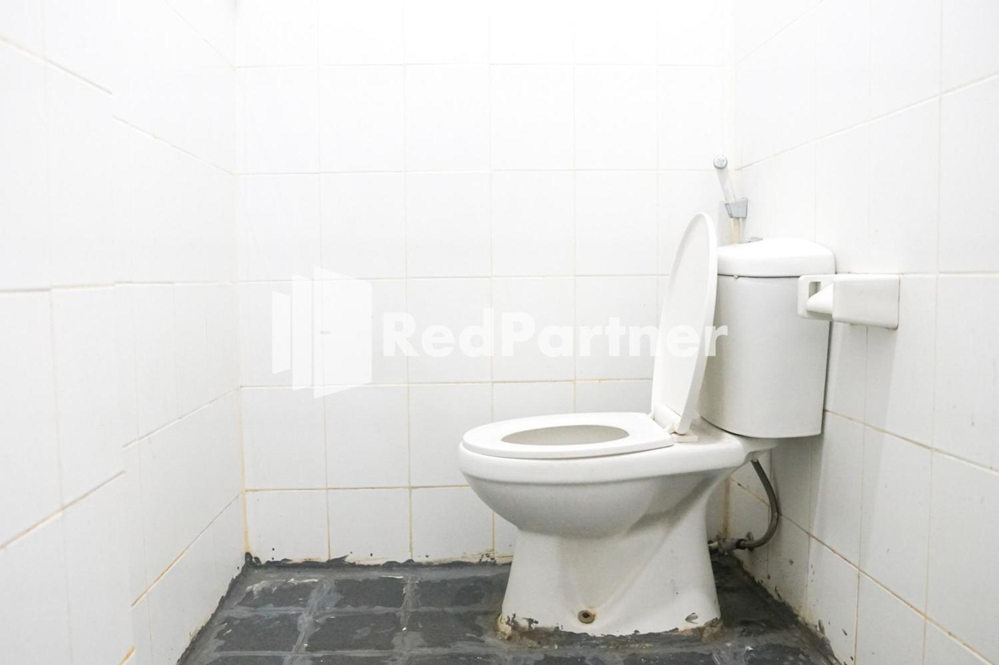 Cosmo Harmoni Redpartner